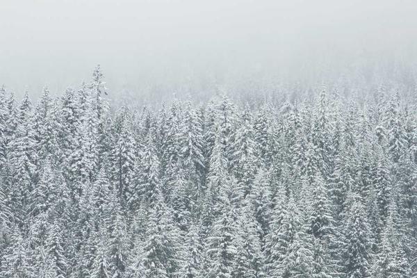 Technology and Nature